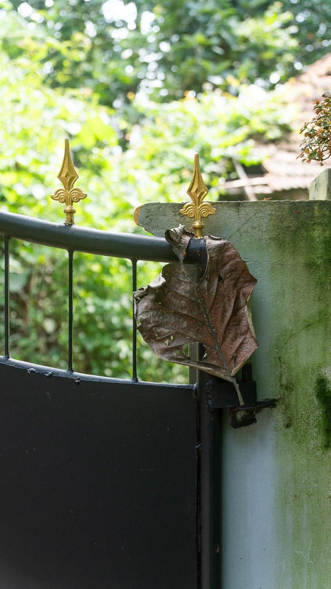 Soul Home Stay Varkala Dış mekan fotoğraf